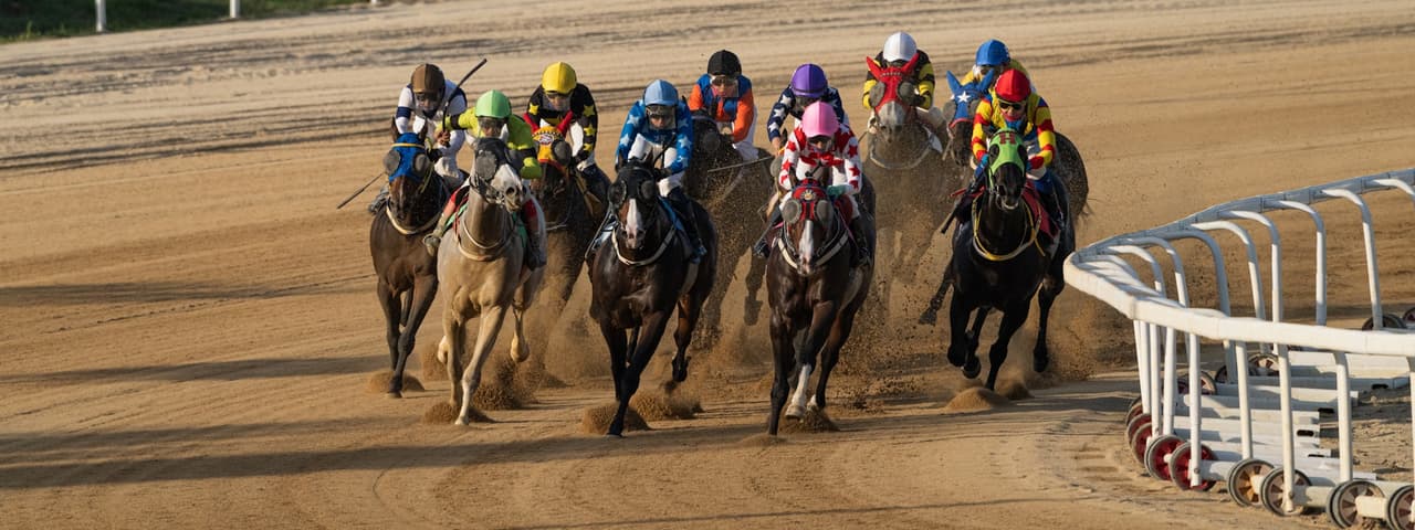 Horse racing