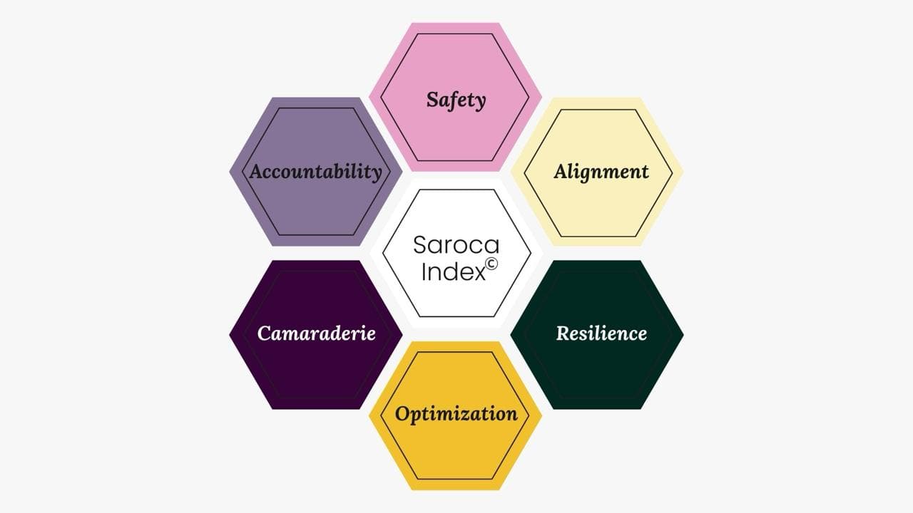 Saroca Index©: supporting success in the affiliate industry