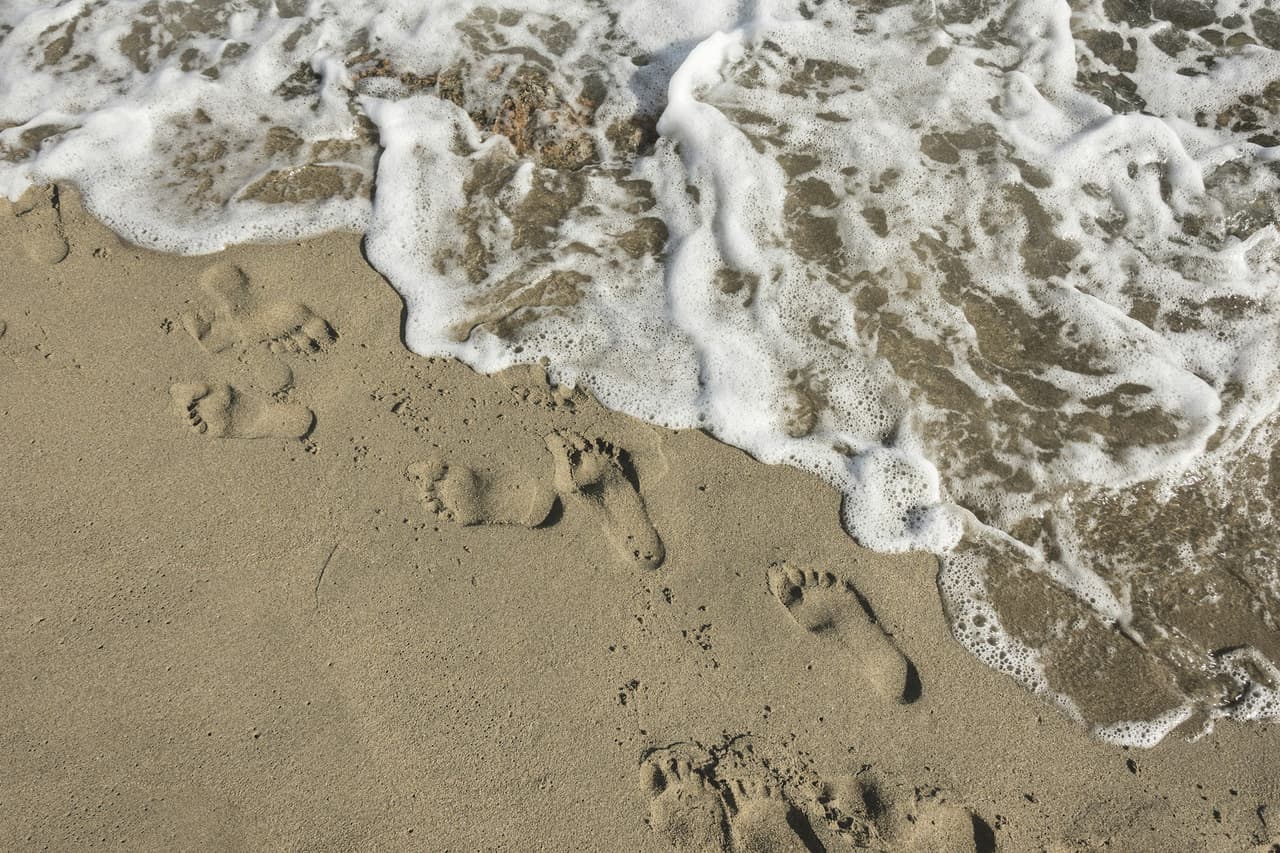 footprint