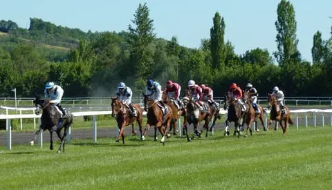 horse-race-horses-sports-racing-jockey-494146-pxhere.com_
