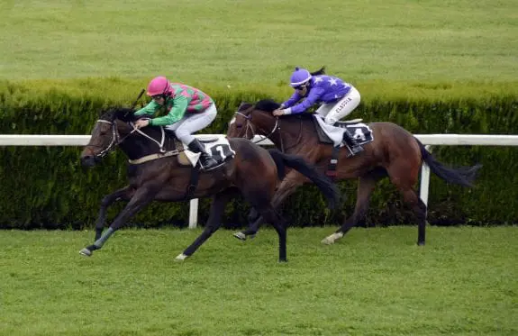 horse-racing